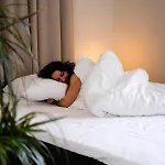 Boutiquerooms Westervilla فندق