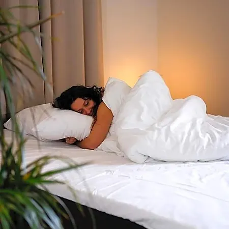 Boutiquerooms Westervilla 3*